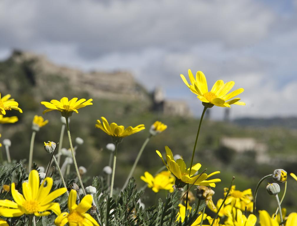 Casa Vacanza Cicirello Giardini Naxos Cameră foto